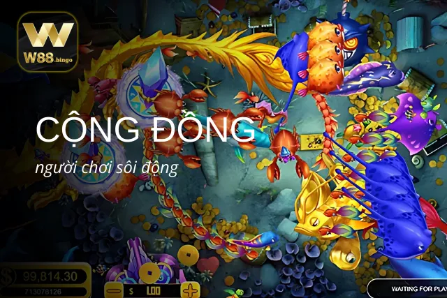 Cộng đồng game thủ bắn cá tại sảnh 