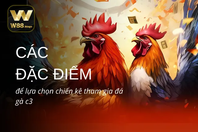 04 Đặc điểm quan trọng để lựa chọn gà đá giải C3