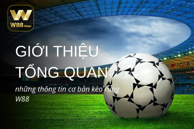 Giới thiệu tổng quan những thông tin cơ bản kèo rung tại W88