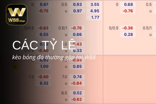 3 Tỷ lệ kèo phổ biến khi cá độ bóng đá tại W88
