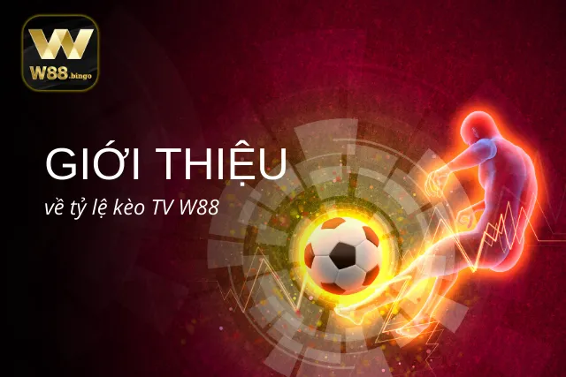 Những thông tin tổng quan về Tỷ lệ kèo TV W88 